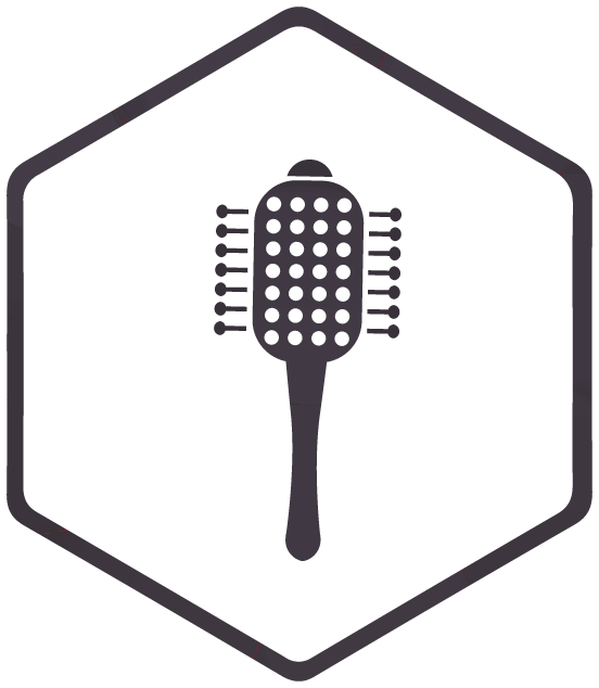 Icon Bürste