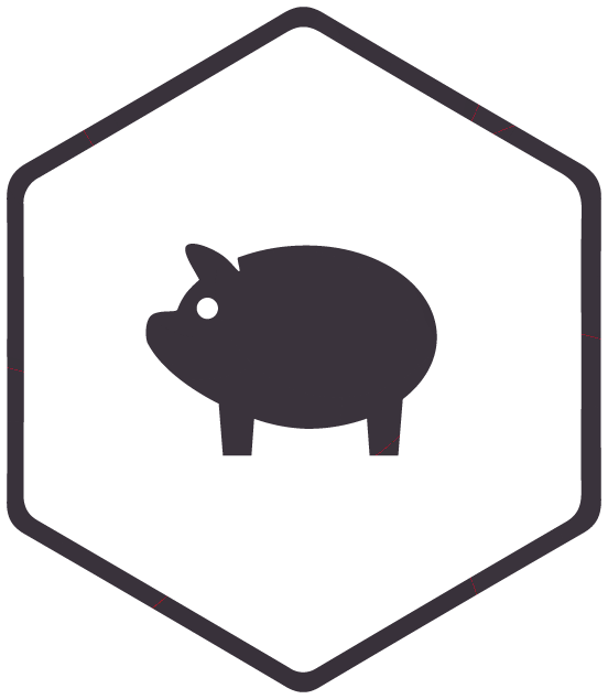 Icon Sparschwein